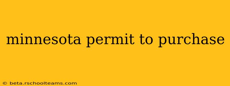 minnesota permit to purchase