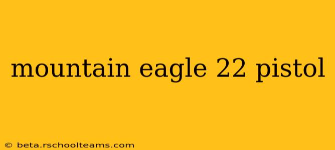 mountain eagle 22 pistol