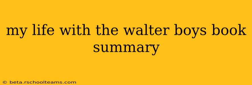 my life with the walter boys book summary