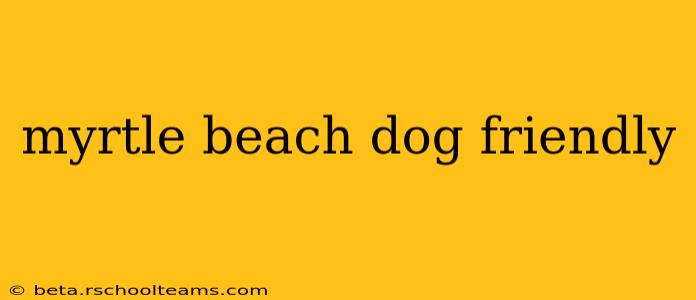 myrtle beach dog friendly