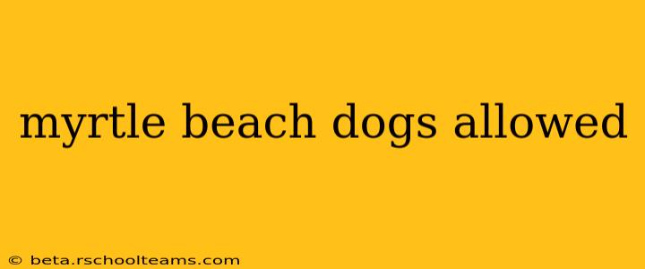 myrtle beach dogs allowed