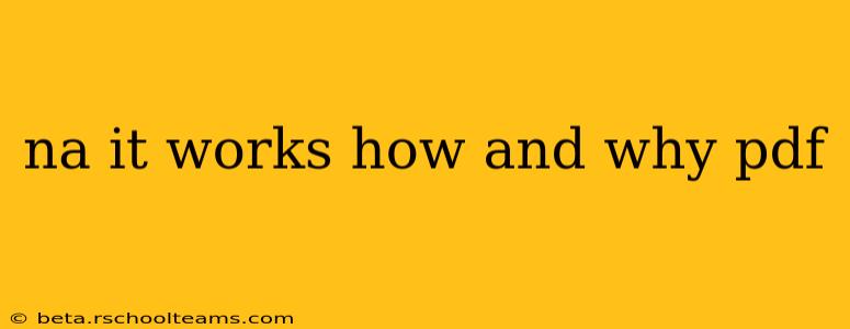 na it works how and why pdf