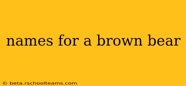 names for a brown bear