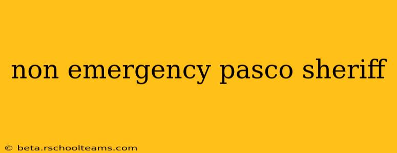 non emergency pasco sheriff