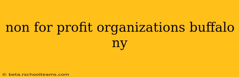 non for profit organizations buffalo ny
