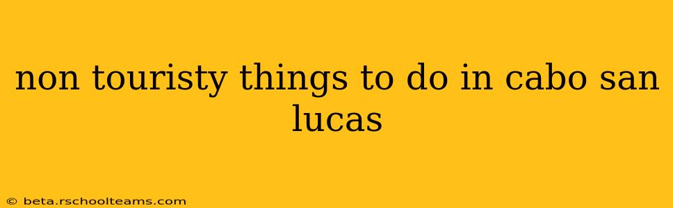 non touristy things to do in cabo san lucas