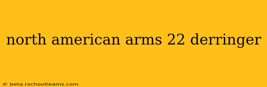 north american arms 22 derringer