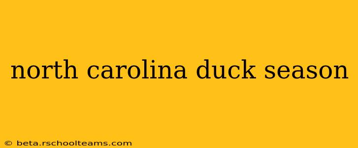 north carolina duck season