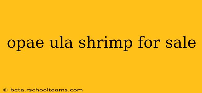 opae ula shrimp for sale