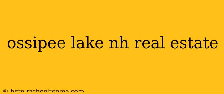 ossipee lake nh real estate