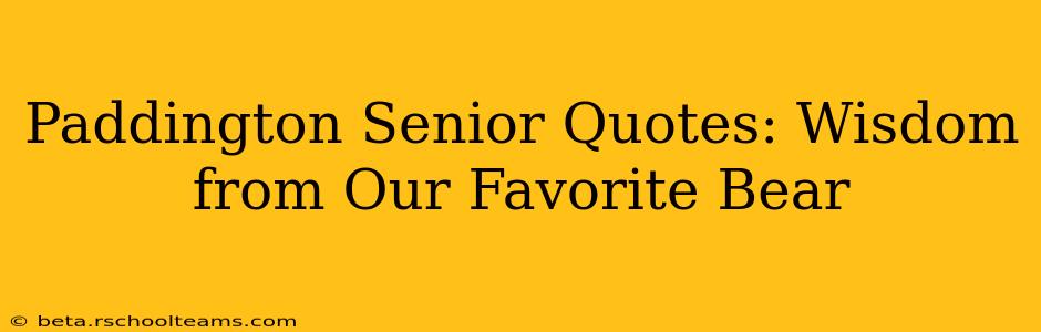 Paddington Senior Quotes: Wisdom from Our Favorite Bear
