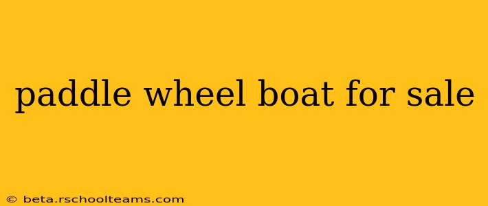 paddle wheel boat for sale