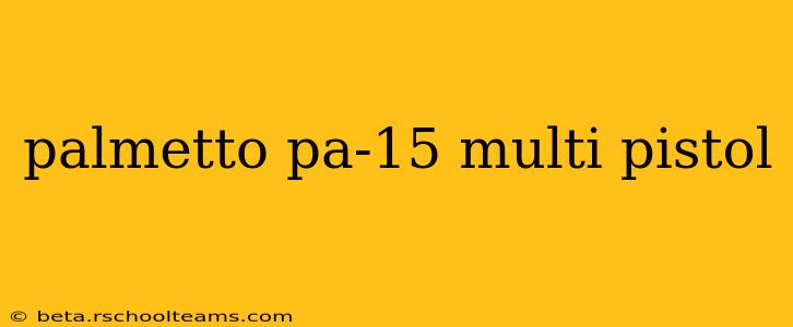 palmetto pa-15 multi pistol