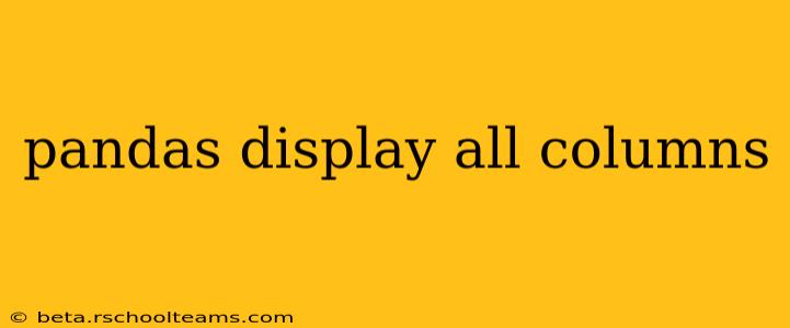 pandas display all columns