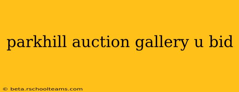 parkhill auction gallery u bid