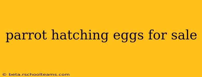 parrot hatching eggs for sale