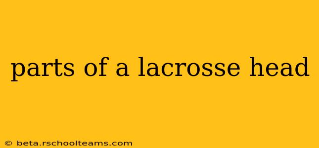 parts of a lacrosse head