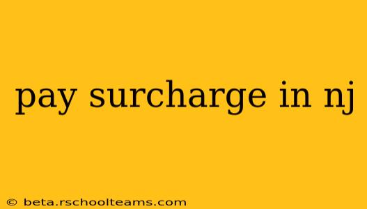 pay surcharge in nj