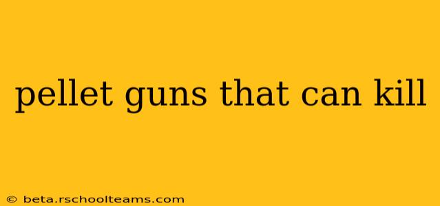 pellet guns that can kill
