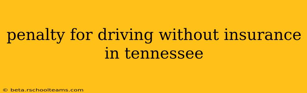 penalty for driving without insurance in tennessee