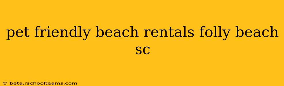 pet friendly beach rentals folly beach sc