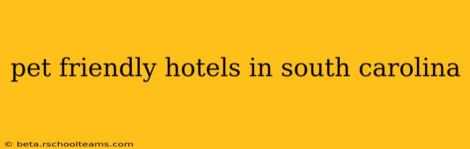 pet friendly hotels in south carolina