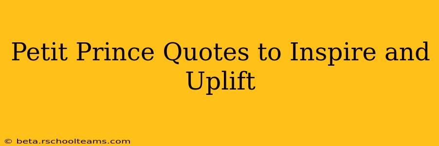 Petit Prince Quotes to Inspire and Uplift