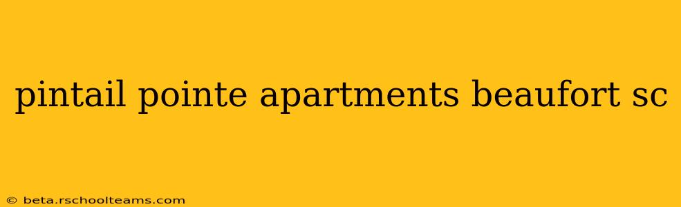 pintail pointe apartments beaufort sc