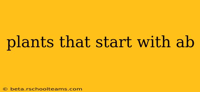 plants that start with ab