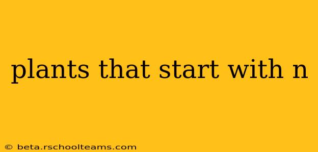 plants that start with n