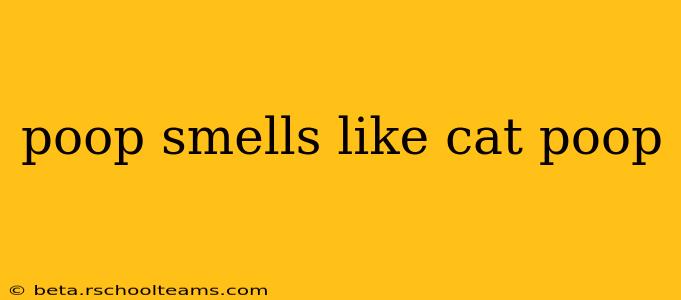 poop smells like cat poop