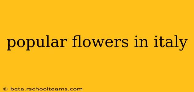 popular flowers in italy