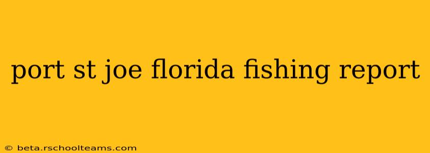port st joe florida fishing report