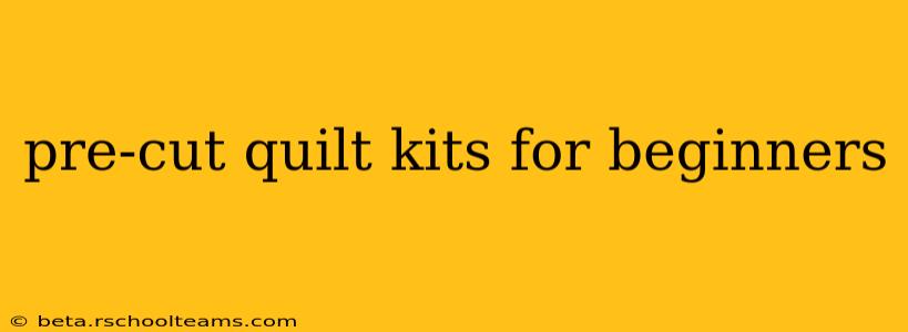 pre-cut quilt kits for beginners