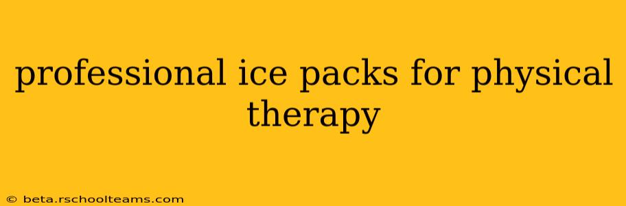 professional ice packs for physical therapy