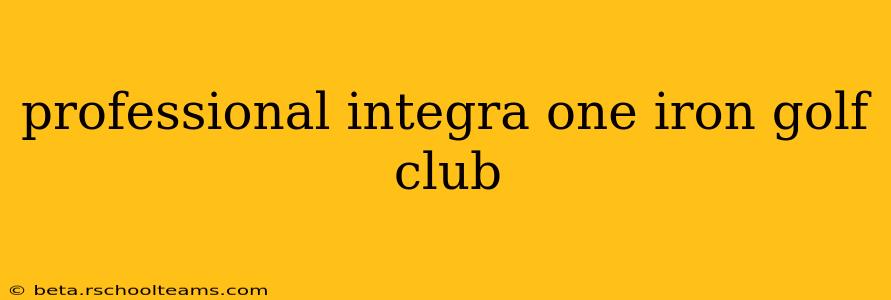 professional integra one iron golf club