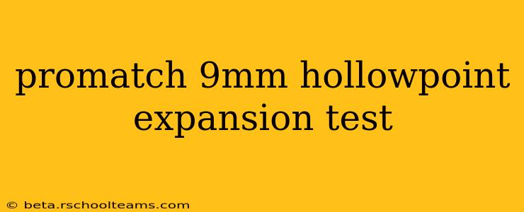 promatch 9mm hollowpoint expansion test