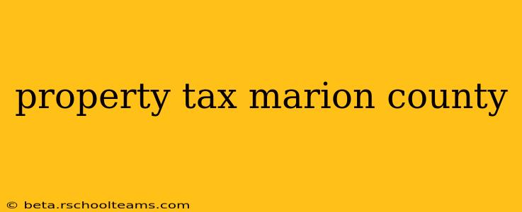 property tax marion county
