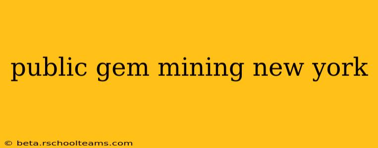 public gem mining new york