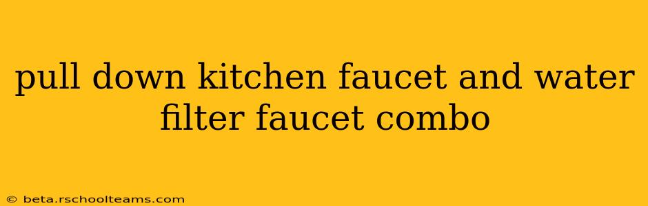 pull down kitchen faucet and water filter faucet combo