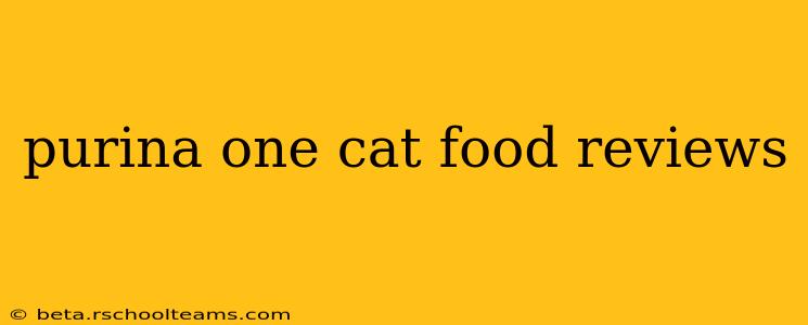 purina one cat food reviews