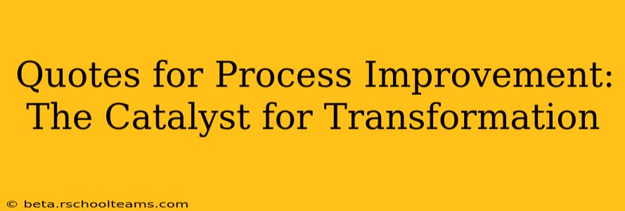 Quotes for Process Improvement: The Catalyst for Transformation
