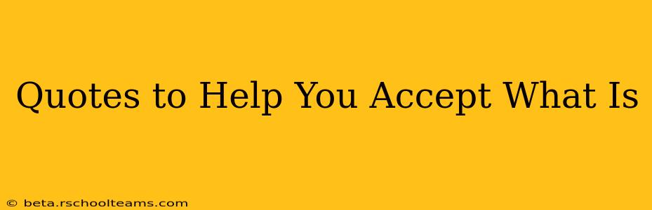 Quotes to Help You Accept What Is