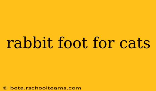 rabbit foot for cats