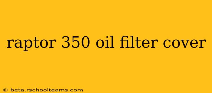 raptor 350 oil filter cover