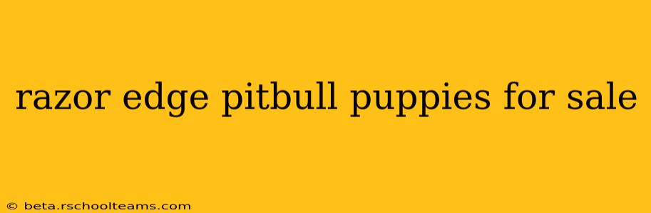 razor edge pitbull puppies for sale