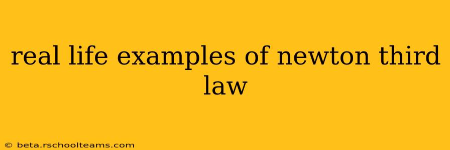real life examples of newton third law