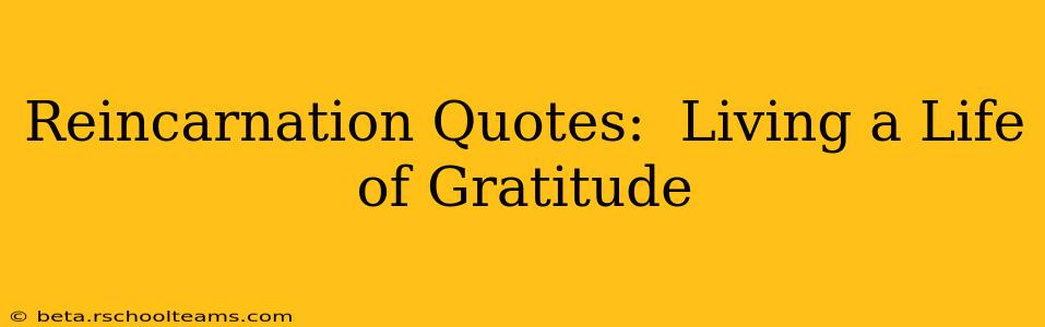 Reincarnation Quotes:  Living a Life of Gratitude