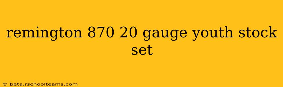remington 870 20 gauge youth stock set