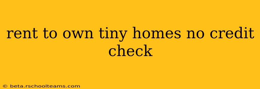 rent to own tiny homes no credit check